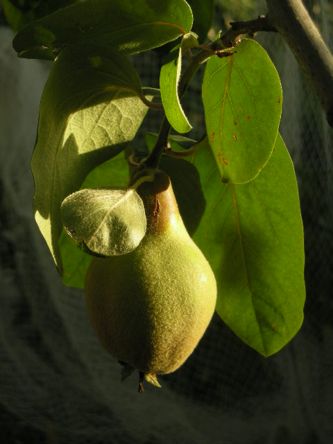 dscn2678